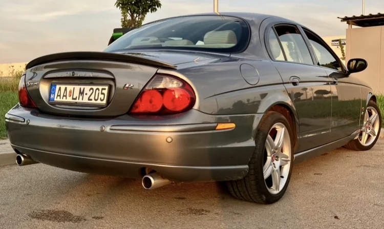Jaguar photo 2