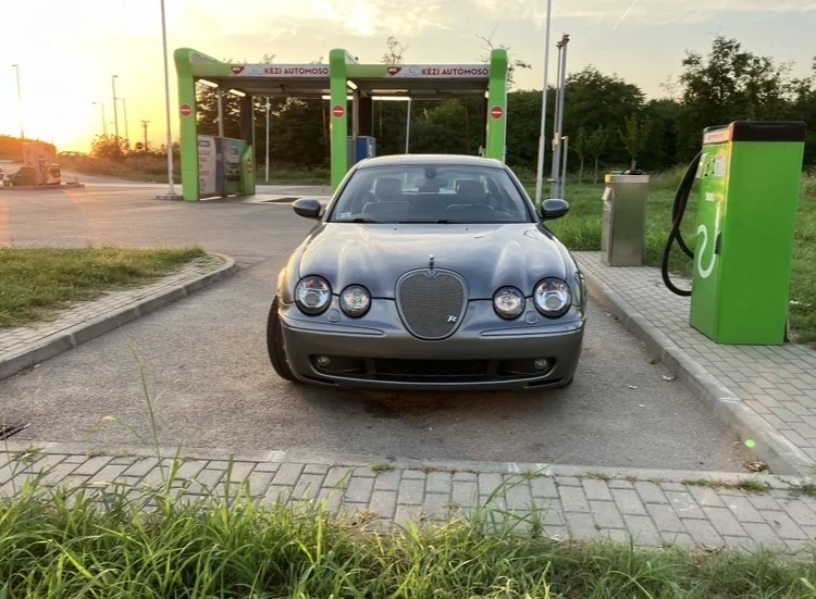 Jaguar photo 3